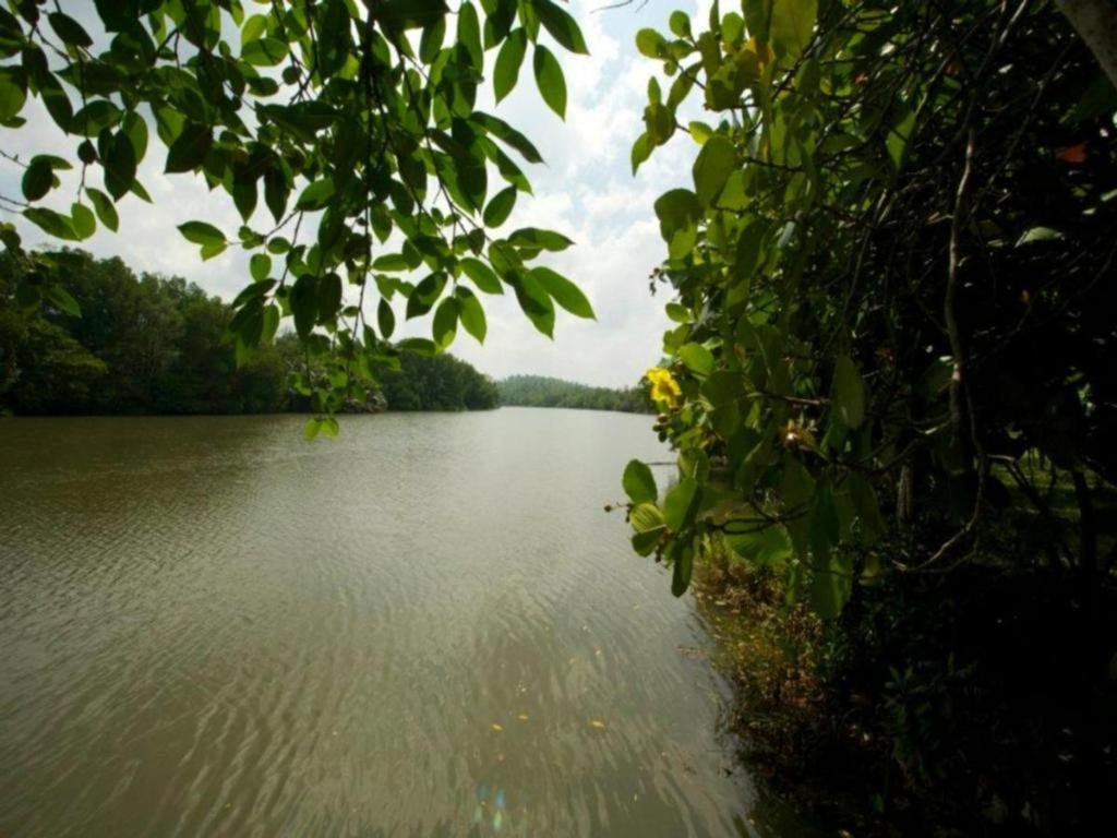 Mangrove Escapes Resort Bentota Zewnętrze zdjęcie