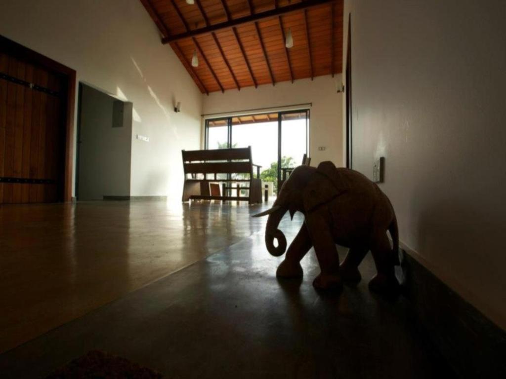 Mangrove Escapes Resort Bentota Zewnętrze zdjęcie