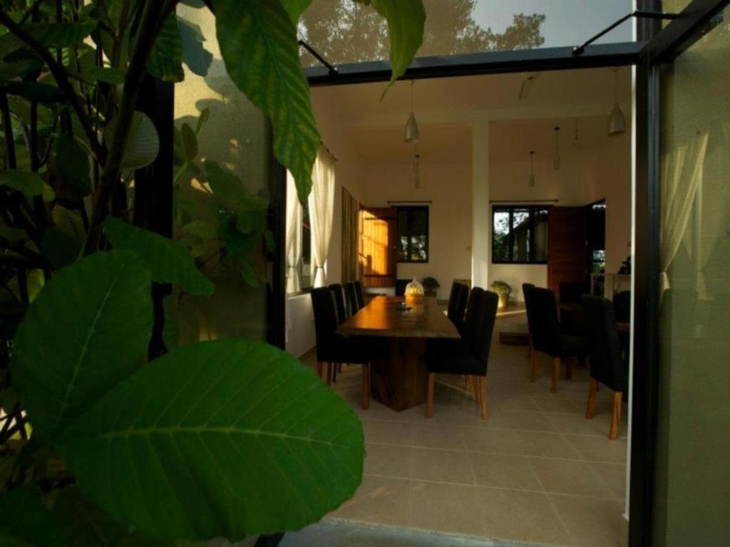 Mangrove Escapes Resort Bentota Zewnętrze zdjęcie