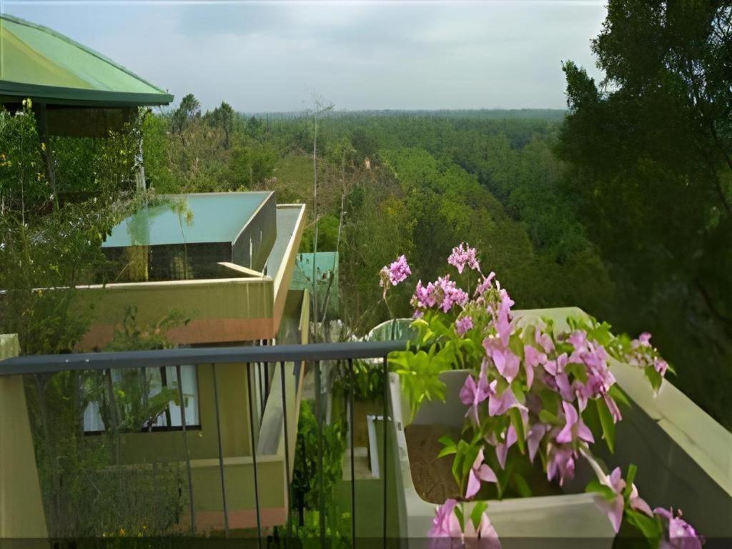 Mangrove Escapes Resort Bentota Zewnętrze zdjęcie