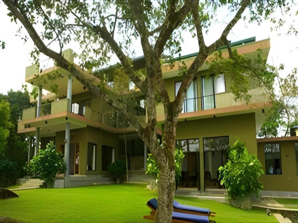 Mangrove Escapes Resort Bentota Zewnętrze zdjęcie