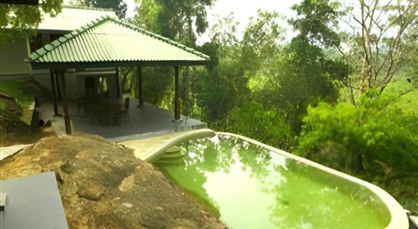 Mangrove Escapes Resort Bentota Zewnętrze zdjęcie
