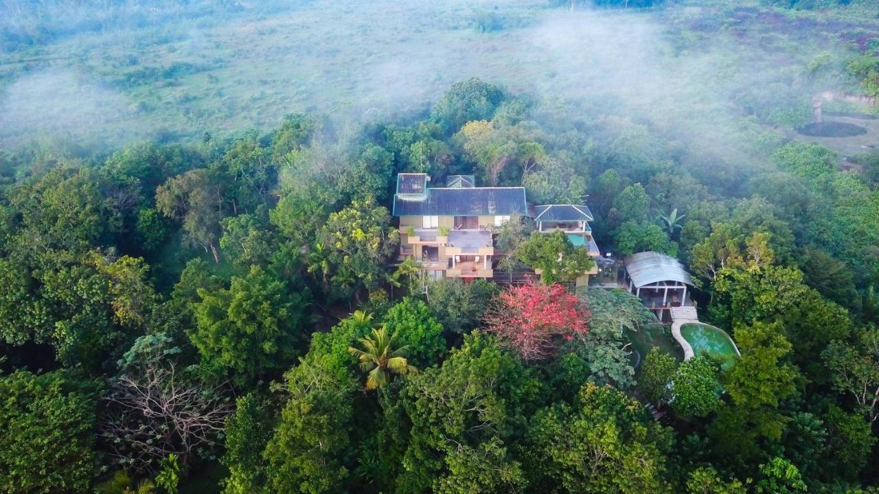 Mangrove Escapes Resort Bentota Zewnętrze zdjęcie