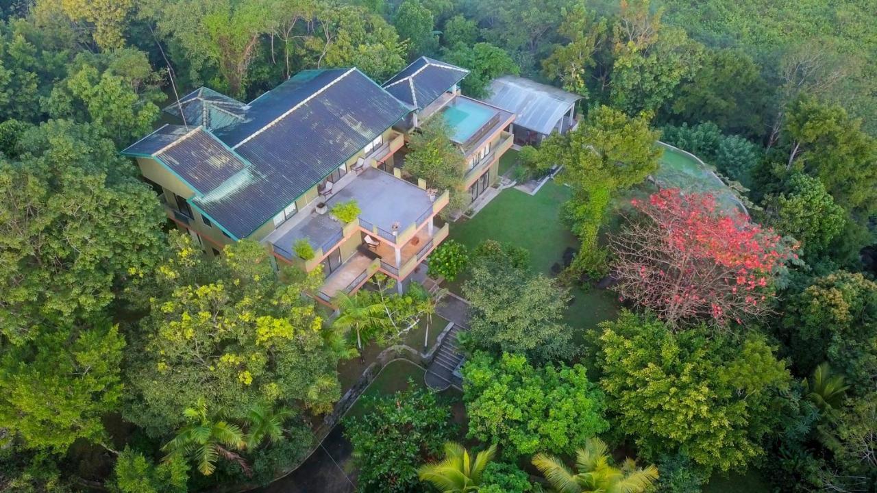Mangrove Escapes Resort Bentota Zewnętrze zdjęcie